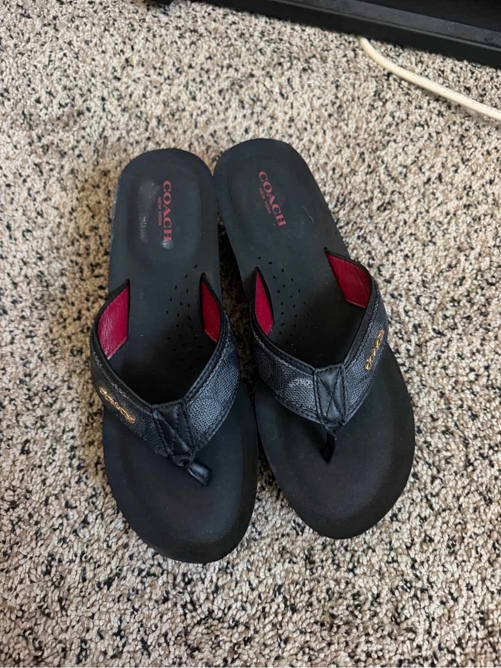Coach Y2k platform sandals
